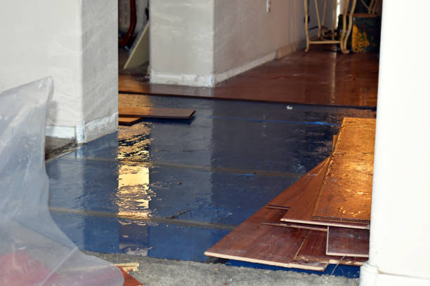 Professional Basement Flood Cleanup technician working in Etowah, NC